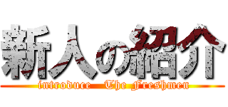新人の紹介 ( introduce   The Freshmen)