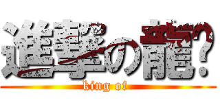 進撃の龍貓 (king of )