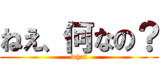 ねえ、何なの？ (what)
