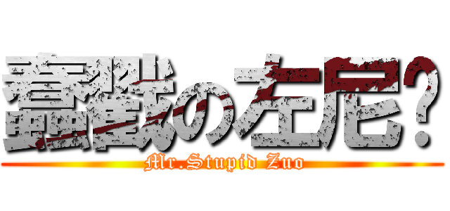 蠢戳の左尼玛 ( Mr.Stupid Zuo)