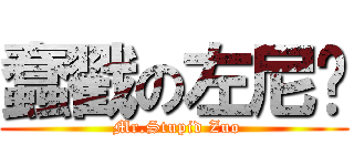 蠢戳の左尼玛 ( Mr.Stupid Zuo)