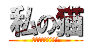 私の猫 (私はあなたを愛して)