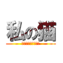 私の猫 (私はあなたを愛して)