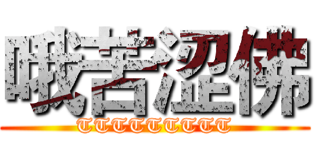 哦苦涩佛 (TTTTTTTTT)