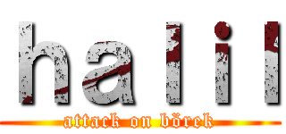 ｈａｌｉｌ (attack on börek)