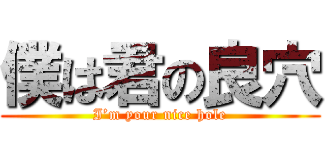 僕は君の良穴 (I’m your nice hole)