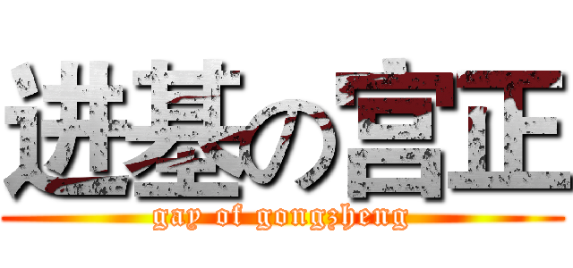 进基の宫正 (gay of gongzheng)