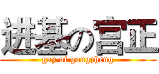 进基の宫正 (gay of gongzheng)