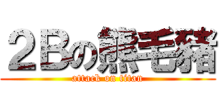 ２Ｂの熊毛豬 (attack on titan)