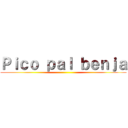 Ｐｉｃｏ ｐａｌ ｂｅｎｊａ ()