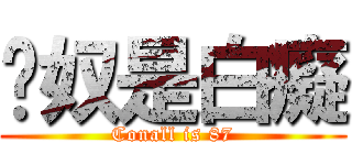 卡奴是白癡 (Conall is 87)