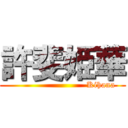 許斐姫華 (                           Kihana)