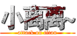 小离离~ (attack on titan)