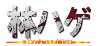 林ハゲ (attack on titan)