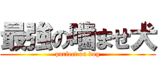 最強の噛ませ犬 (parfect on dog)