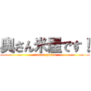 奥さん米屋です！ ( roman porno)