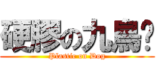 硬膠の九鳥樑 (Plastic on Dog)