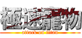 極速寵物 (attack on titan)
