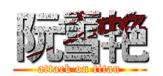 阮雪艳 (attack on titan)