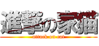 進撃の家猫 (attack on cat)