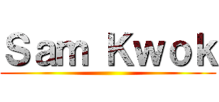 Ｓａｍ Ｋｗｏｋ ()