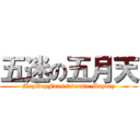 五迷の五月天 (MayDayFans favorite Mayday)