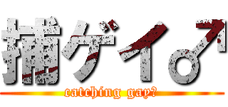 捕ゲイ♂ (catching gay♂)