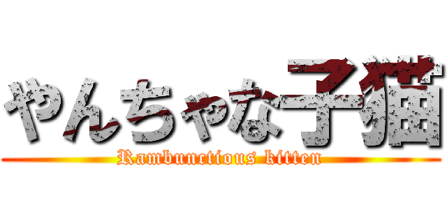 やんちゃな子猫 (Rambunctious kitten)
