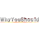 ＷｈｙＹｏｕＳｈｏｕｌｄ (By Borke & Jilliab)