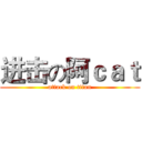 进击の阿ｃａｔ (attack on titan)