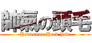 帥氣の頭毛 (Handsome Head hair)