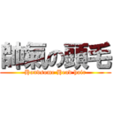 帥氣の頭毛 (Handsome Head hair)