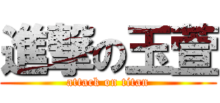 進撃の玉萱 (attack on titan)