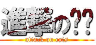 進撃の喵喵 (attack on cats)