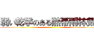 弱い乾季のある熱帯雨林気候 ()
