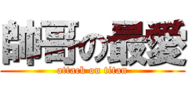 帥哥の最愛 (attack on titan)