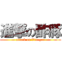 進撃の酢豚 (attack on Vinegar)