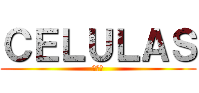 ＣＥＬＵＬＡＳ (青少年)