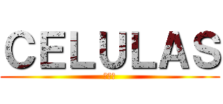 ＣＥＬＵＬＡＳ (青少年)