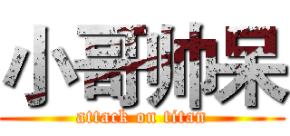 小哥帅呆 (attack on titan)