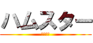 ハムスター (にゃーん)