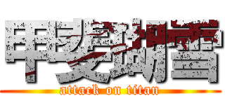 甲斐瑚雪 (attack on titan)