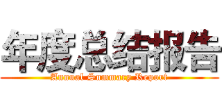 年度总结报告 (Annual Summary Report)