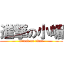 進撃の小嵋 (attack on titan)