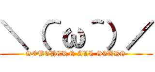 ＼（＾ω＾）／ (SOUTHERN ALL STARS)