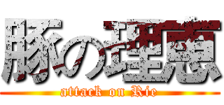 豚の理恵 (attack on Rie)