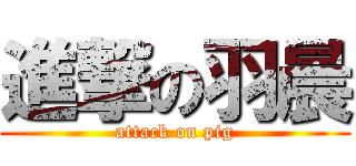 進撃の羽晨 (attack on pig)