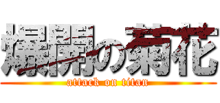 爆開の菊花 (attack on titan)