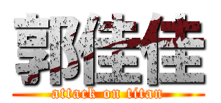 郭佳佳 (attack on titan)