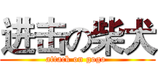 进击の柴犬 (attack on gogo )